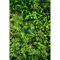 Outdoor UV Protected Artificial Plants Green Wall Panel 80X80cm Home Decoration 51267